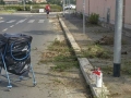 cascella_5