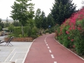 parco lupo alberto (2)