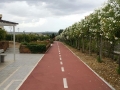 parco lupo alberto (3)