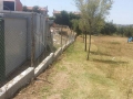 pulizia parco V1 (1)