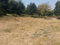pulizia parco V1 (14)