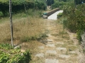 pulizia parco V1 (16)