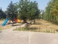 pulizia parco V1 (23)