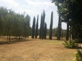 WhatsApp-Image-20160713 (3)
