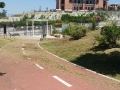 pulizia parco V1 (7)