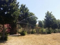 pulizia parco V1 (8)