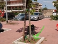 Pulizia 19 giugno 2016 (12)