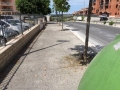 Pulizia 19 giugno 2016 (2)
