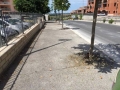 Pulizia 19 giugno 2016 (4)