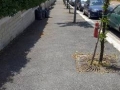 Pulizia 19 giugno 2016 (5)