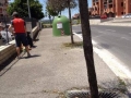 Pulizia 19 giugno 2016 (7)