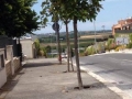 Pulizia 19 giugno 2016 (8)
