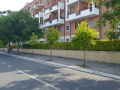 pulizia via dami (10)