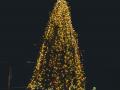 allestimento_albero_natale11