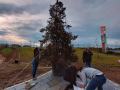 allestimento_albero_natale3