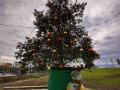 allestimento_albero_natale7