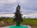 allestimento_albero_natale8