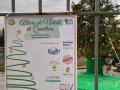 allestimento_albero_natale9