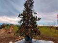 allestimento_albero_natale_4