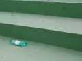 WhatsApp-Image-2021-04-12-at-11.56.07
