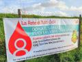 donazione_sangue5