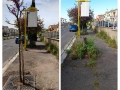 176096467_927914437983522_4176689840957140710_n