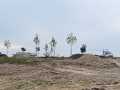 nuovo_parco1