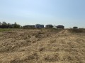 nuovo_parco3