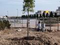 nuovo_parco7