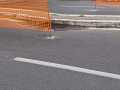 viale_guglielmi2