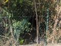 discariche_trafusa_1