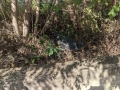 discariche_trafusa_10