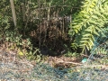 discariche_trafusa_3