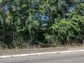 discariche_trafusa_4