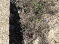 discariche_trafusa_5