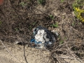 discariche_trafusa_6
