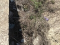 discariche_trafusa_7