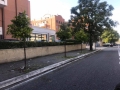 Puliamo Torrino Mezzocammino 2018  (7)