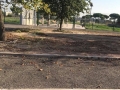 Puliamo Torrino Mezzocammino 2018  (8)