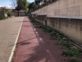 PuliAMO-Torrino-Mezzocammino-2019-22