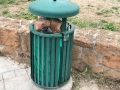 PuliAMO-Torrino-Mezzocammino-2019-24