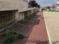 PuliAMO-Torrino-Mezzocammino-2019-35