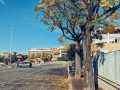 puliamo_mezzocammino_10_2022_13