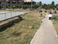 pulizia giugno 2017 Cdq (4)