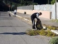 Torrino Mezzocammino pulizia residenti 2017 (15)