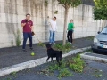 Torrino Mezzocammino pulizia residenti 2017 (24)