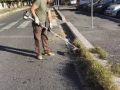 Torrino Mezzocammino pulizia residenti 2017 (26)