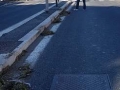 Torrino Mezzocammino pulizia residenti 2017 (3)