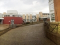 Pulizia scuola 2017 CUTM (3)
