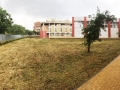 Pulizia scuola 2017 CUTM (7)